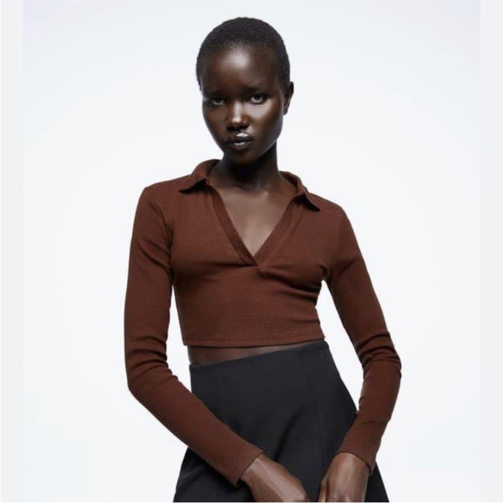Zara Tops | Zara Brown Collared Ribbed Long Sleeve Cropped Polo